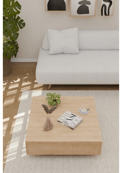 Uçan Kare Orta Sehpa Yeni Nesil Modern Orta Sehpa Ahşap Safir Meşe Renk Desen fırsatları