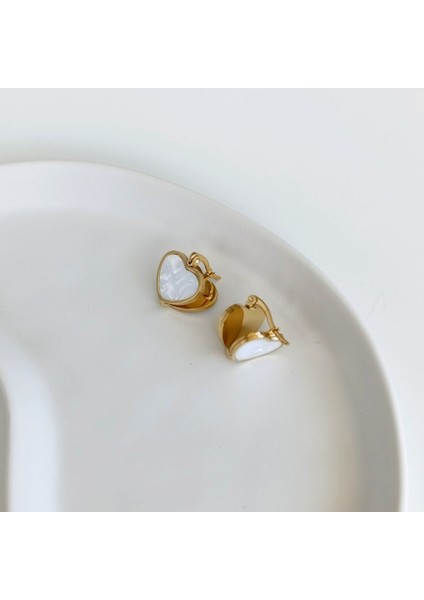 Magnus Çelik Küpe fiyatları