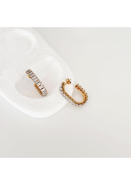 Scale Gold Küpe fiyatları