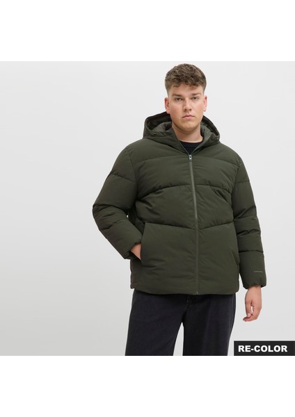 Büyük Beden Kapüsonlu Puffer Ceket - Global