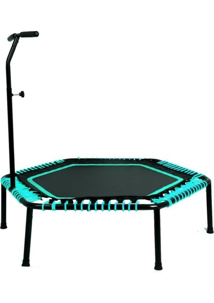 135 cm ''(54 Inç) Tutunmalı Step Trambolin