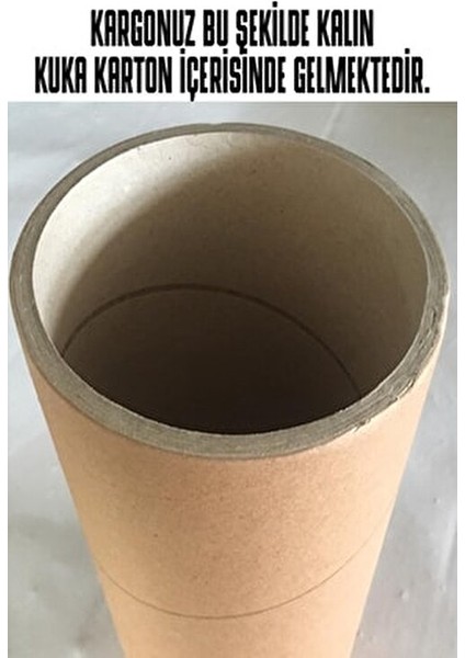 2 Adet Beyaz 20 cm Instagram Logolu Kullanıcı Adı Araç Kelebek Cam Sticker Etiketi Folyo Kesim modelleri