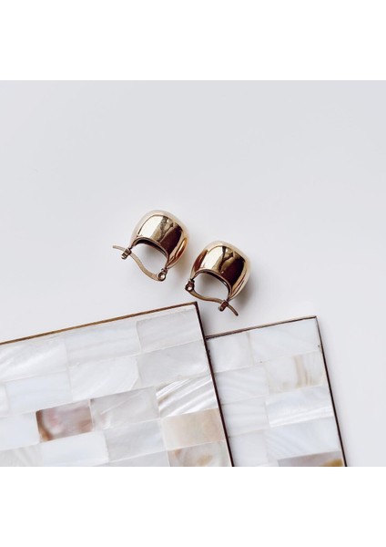 Mestolo Gold Çelik Küpe