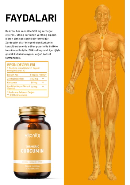 Türmeric Curcumin (Zerdeçal ve Piperin) 30 Vegan Kapsül modelleri