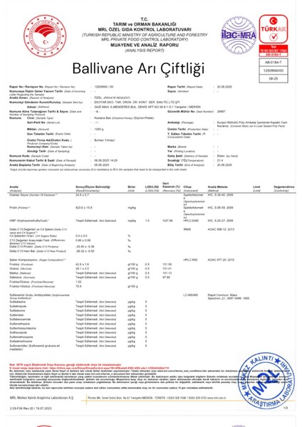 Artvin Borçka Organik Kestane Balı 500gr[YENİ SEZON] indirimleri