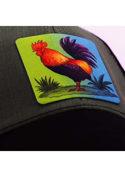 Horoz Figürlü Hayvan Desenli Siyah Beyzbol Şapka Unisex modelleri