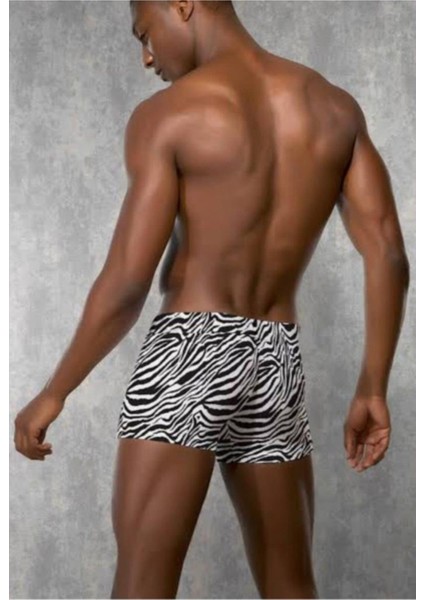 Erkek Modal Zebra Desen Boxer 1814 fiyatları