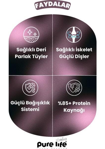 Purelife Plus Sığır Etli Lokmalık Kedi Ödül Maması 60GR fırsatları