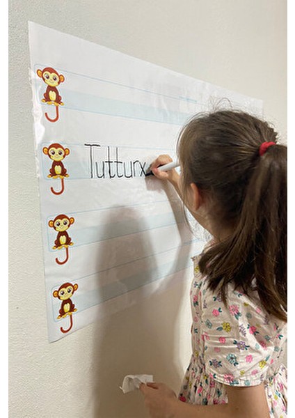 Mavi Kılavuz Çizgili Öğrenci Tahtası Yeni Müfredat Kalem Hediyeli 100X56 cm