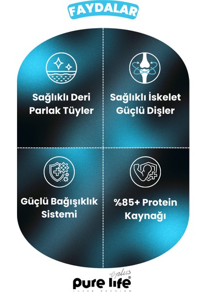 Purelife Plus Somonlu Lokmalık Kedi Ödül Maması 60GR modelleri