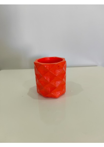 Geometrik Kaktüs Skulent Saksısı - Dekoratif Ev Aksesuarı