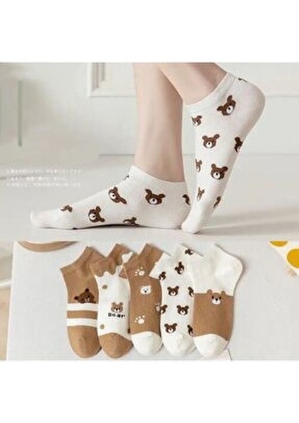 5’li Ekonomik Paket Teddy Bear Temalı Patik Çorap Set fiyatları