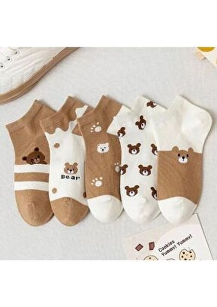 5’li Ekonomik Paket Teddy Bear Temalı Patik Çorap Set modelleri