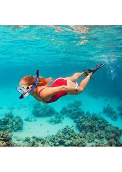 Paletli Şnorkel Seti Tüplü Dalış Ekipmanları Yüzgeç Dalış Gözlüğü Seti 37-41(S-M)42-47(L-Xl) indirimleri