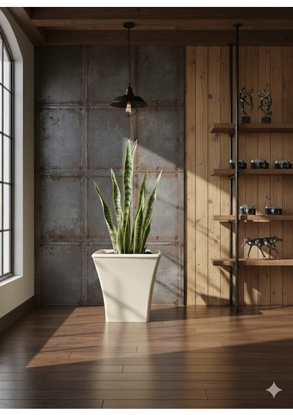 Begonvil 38 cm Bej Yuvarlak 23 Litre Beton Görünümlü Plastik Saksı Drenaj Izgaralı Çiçek Saksısı