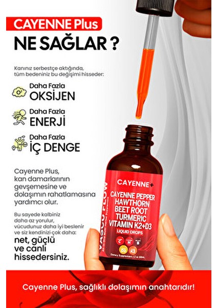 Tansiyon Dengelemeye, Kalp ve Dolaşımı Desteklemeye, Enerji ve Odak Artırmaya Yardımcı Takviye
