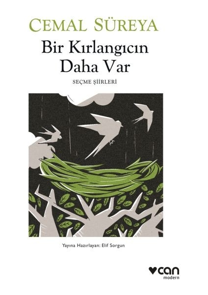 Bir Kırlangıcın Daha Var