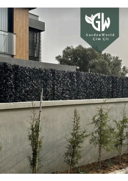 ANTRASIT100 CMX10 Metre Çimçit