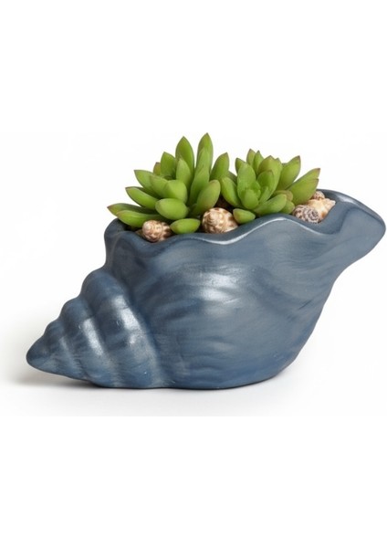 Deniz Kabuğu Metalik Mavi Biblo fiyatları