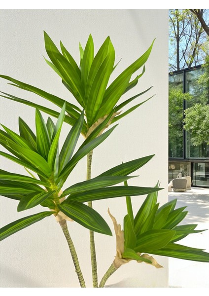 Yapay Çiçek Dracaena Bitkisi 3 Dal 65 cm Plastik Saksı Yapay Salon Çiçeği Dekoratif Hediyelik modelleri