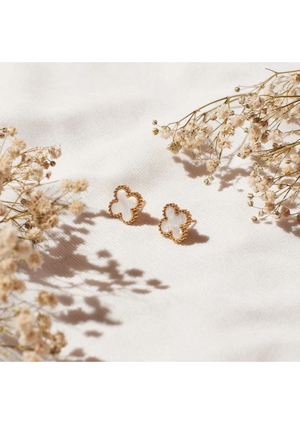 Altın Kaplama Sedef Renk Çelik Cleef Küpe