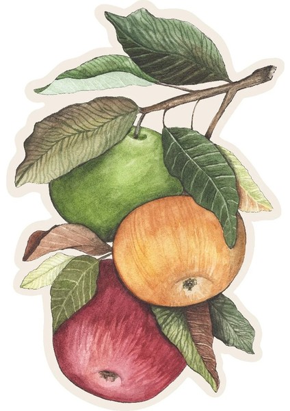 Heirloom Apples Table Accent Pack Of 12 Sheets