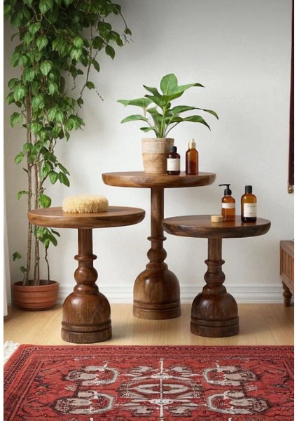 Doğal Ahşap 3'lü Set Mantar Yan Sehpa Modern Fiskos Zigon Çiçeklik