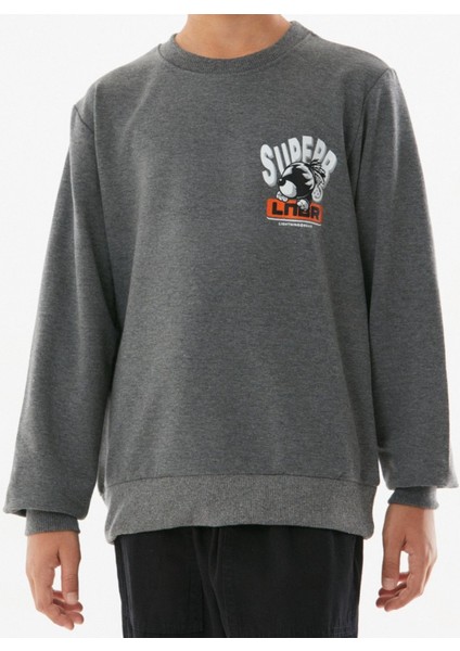 Erkek Çocuk Superb Önü Arkası Yazı Resim Desenli Antrasit Renk Sweatshirt fiyatları