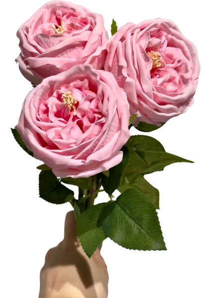 Pembe 3'lü Islak Şakayık