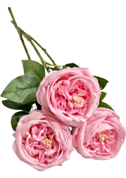 Pembe 3'lü Islak Şakayık modelleri