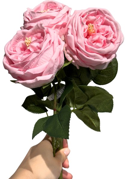 Pembe 3'lü Islak Şakayık fırsatları