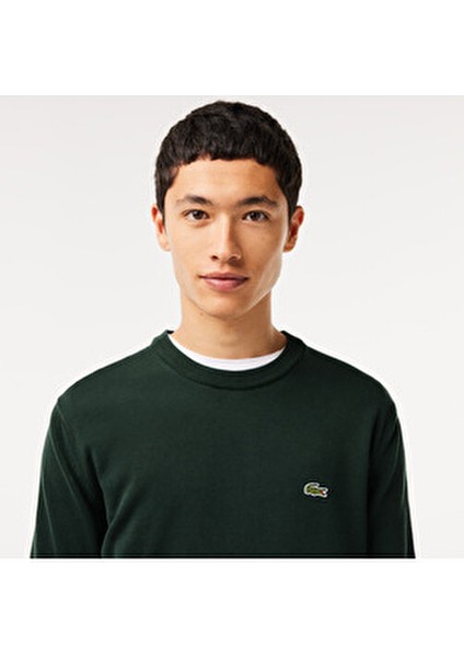 Regular Fit Bisiklet Yaka Organik Pamuklu Erkek Yeşil Kazak fiyatları