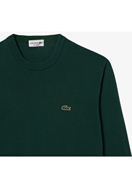 Regular Fit Bisiklet Yaka Organik Pamuklu Erkek Yeşil Kazak