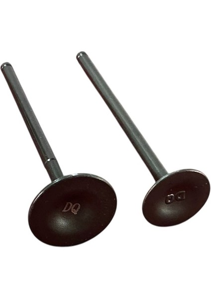 150 Titanic Subap Takımı