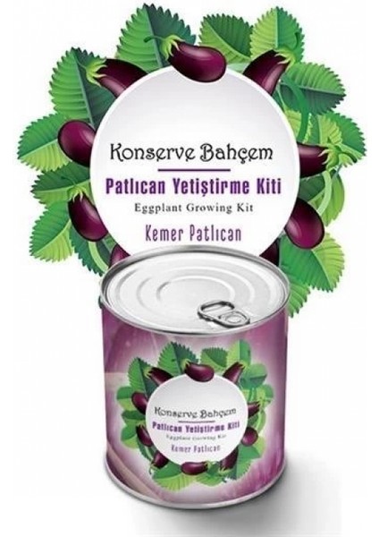 Konserve Bahçem Evde Konservede Kemer Patlıcanyetiştirme Kiti