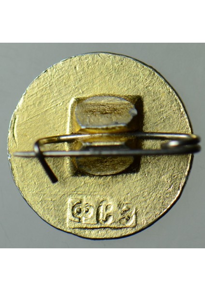 Sovyetler Birliği Kızılhaç Renklimineli Rozet - Pin. Cccp. Orijinal. modelleri