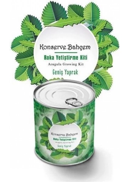 Konserve Bahçem Evde Konservede Iri Yapraklı Roka Yetiştirme Kiti