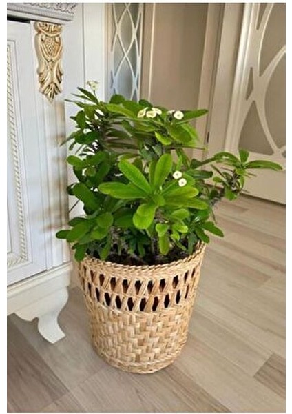 Saksılık/doğal El Yapımı Hasır Saksı