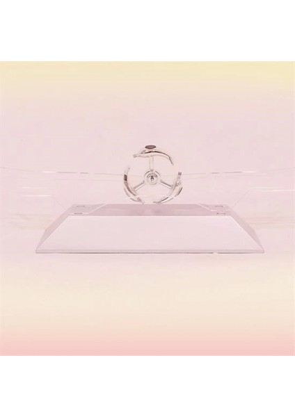 Dekoratif Masa Üstü Obje Manyetik Kinetik Orbital Dönen Yunuslar