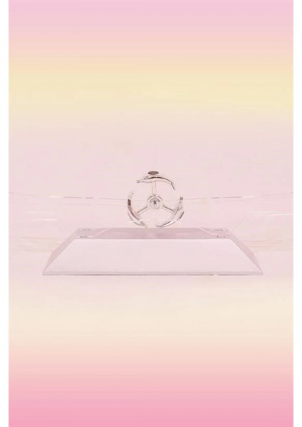 Dekoratif Masa Üstü Obje Manyetik Kinetik Orbital Dönen Yunuslar fırsatları