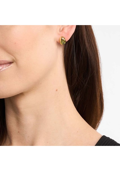 MKJ8554-710 Kadın Küpe modelleri