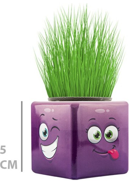Çim Adam Mini Küp Emoji Figürlü 1 Adet