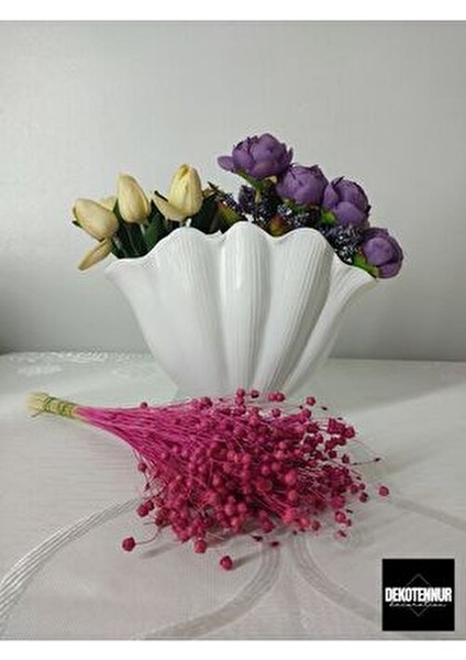 Istiridye Vazo, Dekoratif Alçı Vazo, Tematik Tasarım 16 cm Boyutunda Beyaz