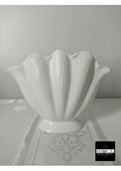 Istiridye Vazo, Dekoratif Alçı Vazo, Tematik Tasarım 16 cm Boyutunda Beyaz