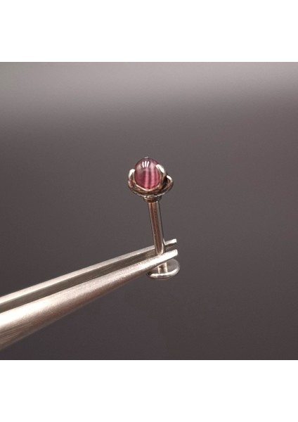 Labret Tragus Piercing