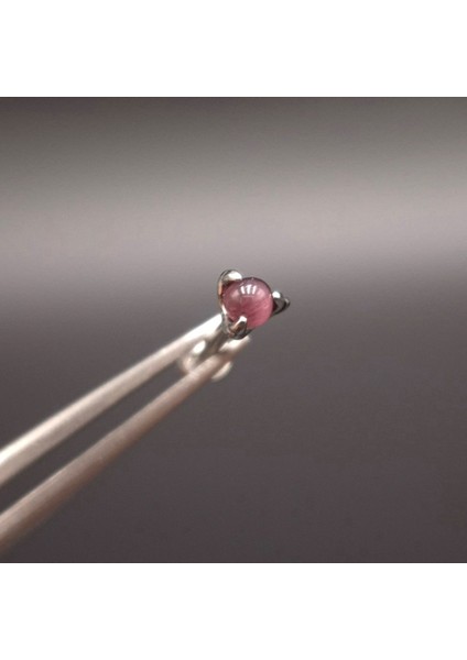 Labret Tragus Piercing fiyatları