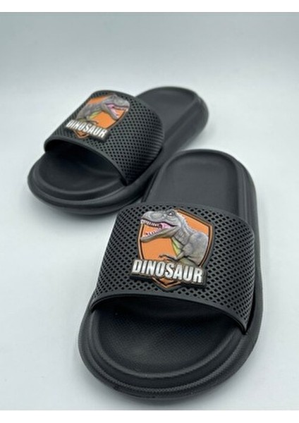 Anatomik Taban Kaydırmaz Taban Havuz Deniz Ev Sokak Çocuk Terlik(Dinazor Desenli) fiyatları