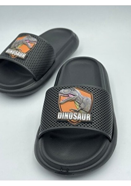 Anatomik Taban Kaydırmaz Taban Havuz Deniz Ev Sokak Çocuk Terlik(Dinazor Desenli) modelleri