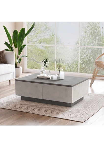 Arya Orta Sehpa 2 Kapaklı Beton-Taş ARY17-GT fiyatları