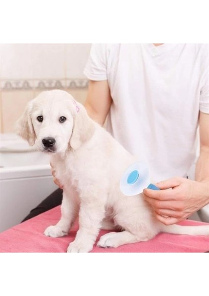 Kedi Köpek Tüy Toplayıcı Kendini Temizleyebilen Ergonomik Saplı Evcil Hayvan Tarağı Mavi indirimleri